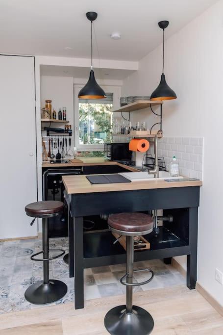 Studio Design Renove/ Berges Du Rhone Lyon Kültér fotó